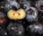 blueberries-with-one-sliced-through-the-center-to-show-seeds.jpg