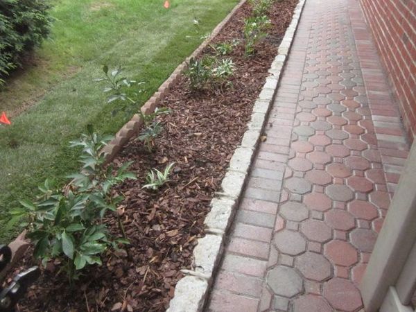 Paved Path By Garage w Peonies, Daffodils & Sedges 9-8-18.JPG