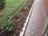 Paved Path By Garage w Peonies, Daffodils & Sedges 9-8-18.JPG