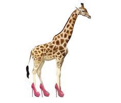 df73801336e010b835f5593c47913609--baby-giraffes--inch-heels.jpg