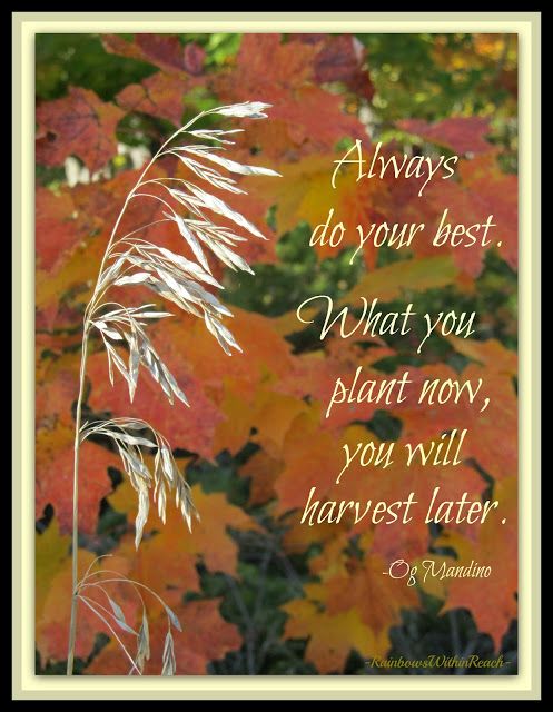 Autumn-Quotes-For-Kids1.jpg