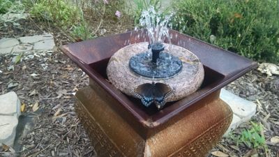 Butterfly on Fountain.jpg