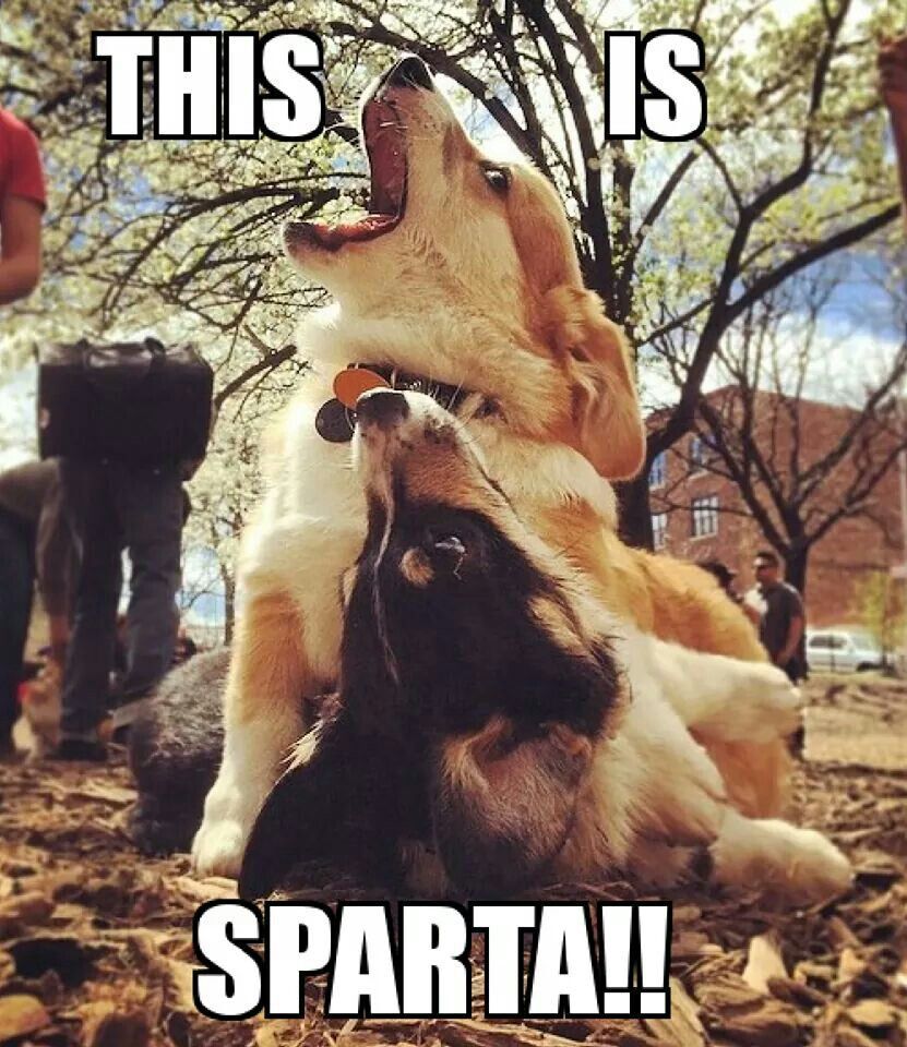 SPARTAN!