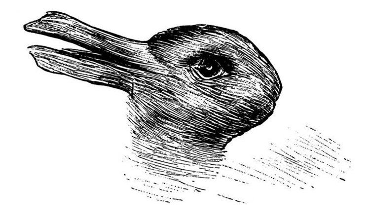 143-170022-143-133080-rabbit-duck-1455650631-1498754984.jpg