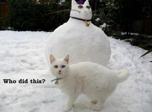 cat snowman.jpg