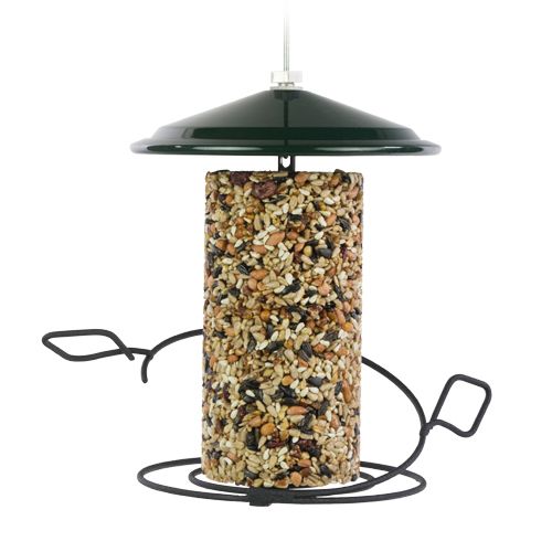 500x500-birdfeeders-seedcylinder.jpg