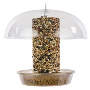 300x300-birdfeeders-ecocleandinnerbell.jpg