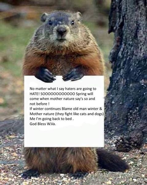 Groundhog.jpg