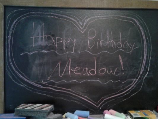 20190228_163740 Happy Bday Meadow sign.jpg