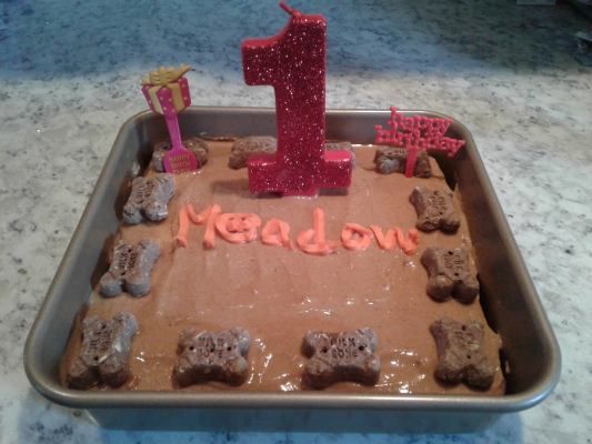 20190228_161402 Meadow's Cake.jpg