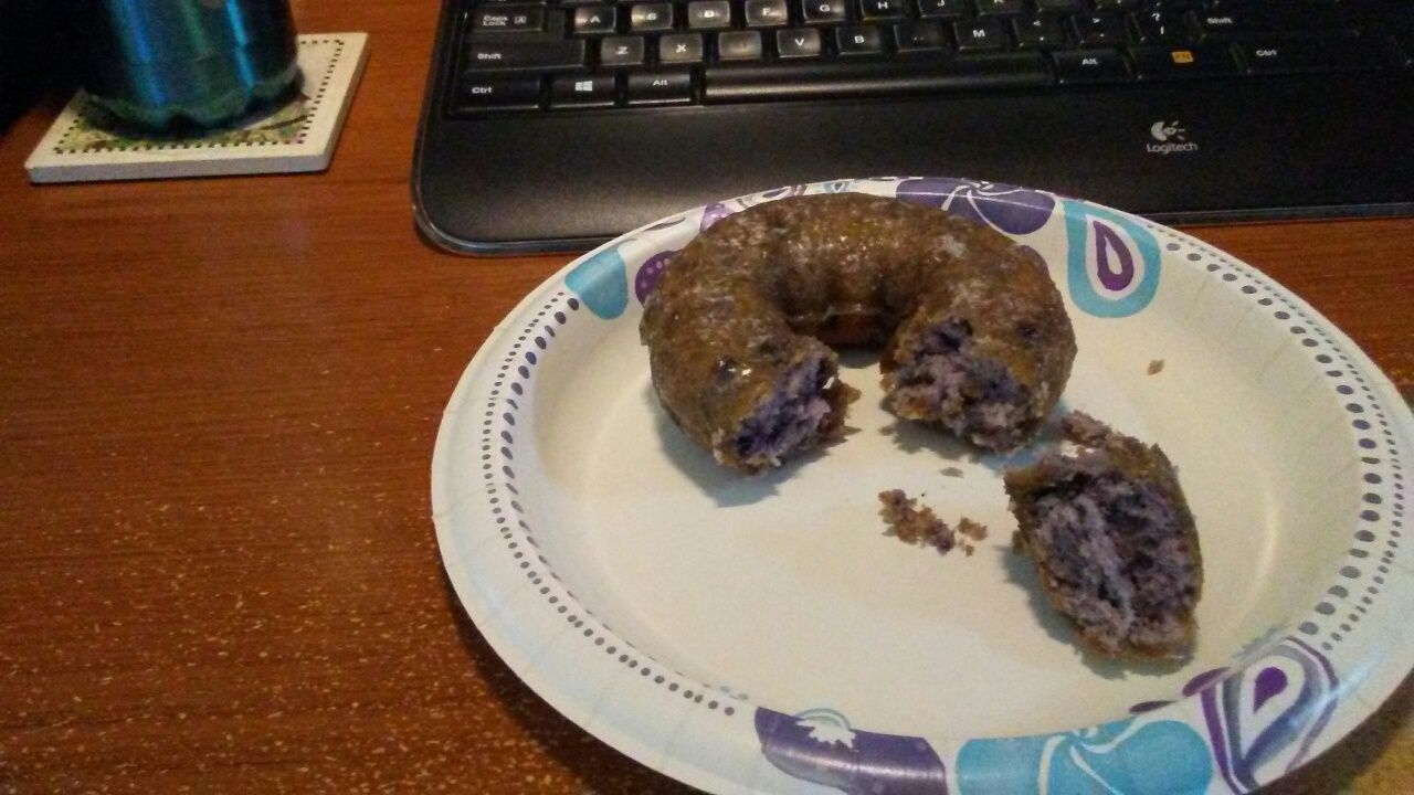 Blueberry Donut.jpg