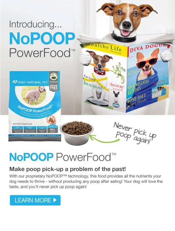 Great New Dog Food - Blogs & Forums