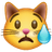 crying-cat-face_1f63f.png