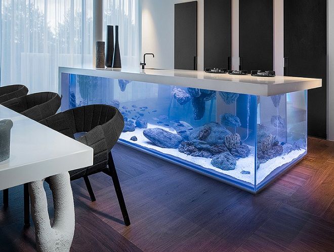 kitchen island aquarium.jpg