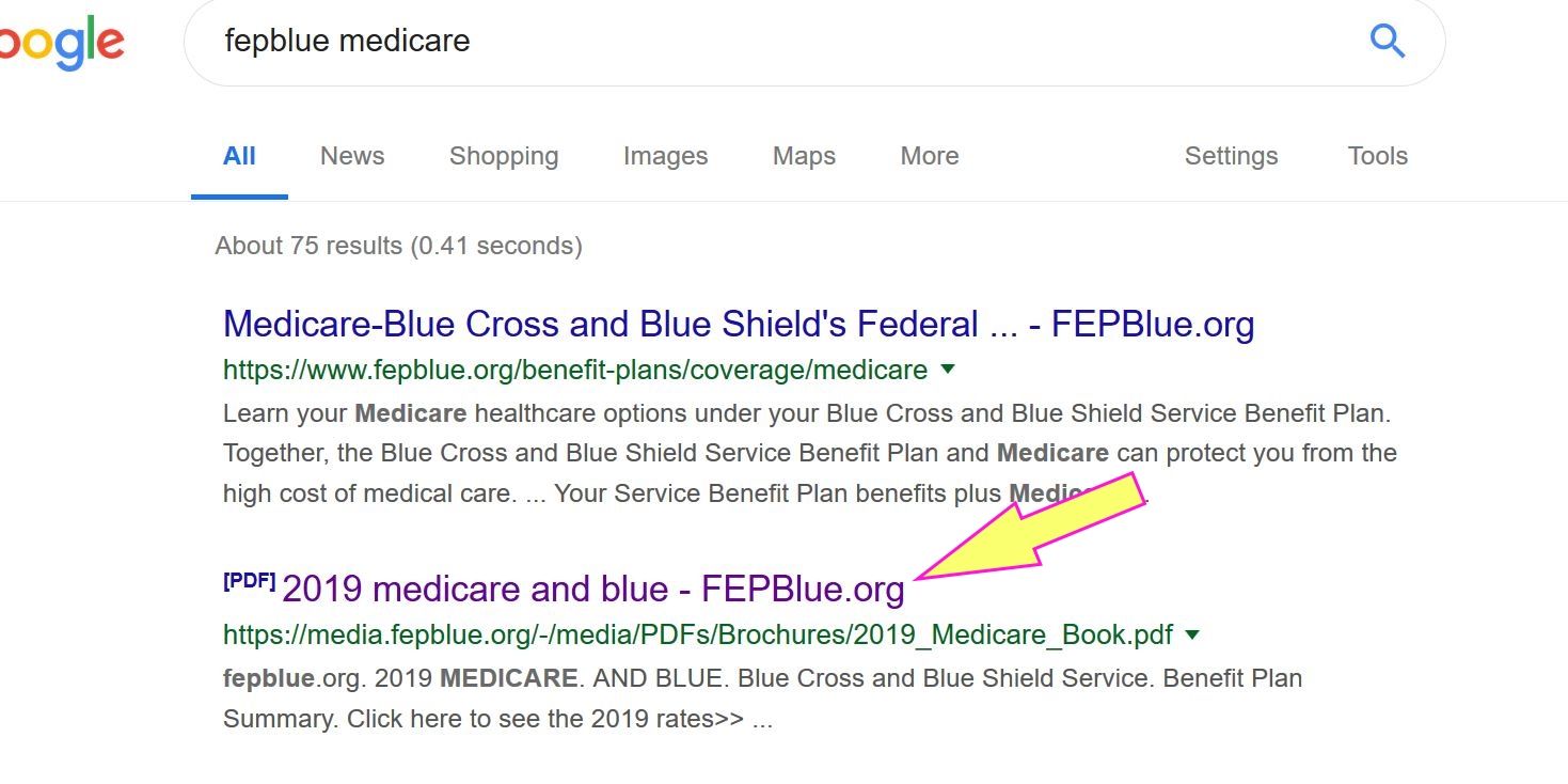 fepblue medicare.JPG