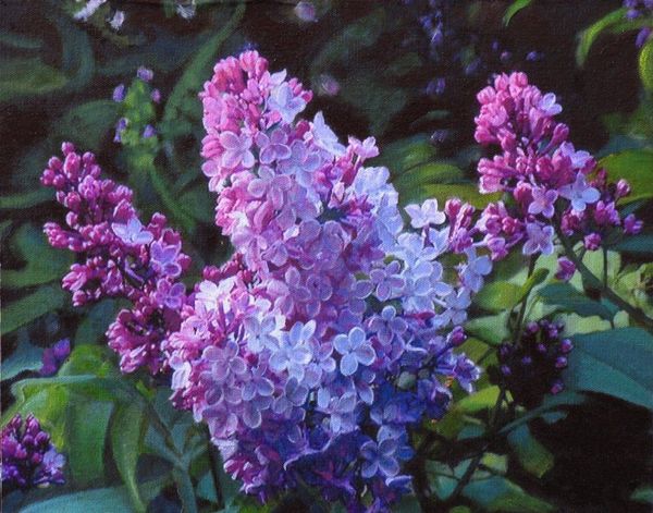 lilacs.jpg