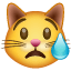 crying-cat-face_1f63f.png