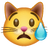 crying-cat-face_1f63f.png