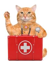 first_aid_kit_for_cats.jpg
