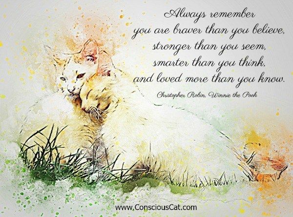 Winnie-the-Pooh-quote.jpg