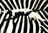 zebra kitty.jpg