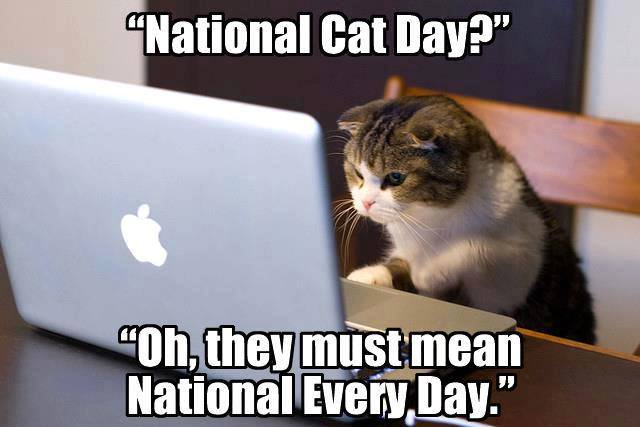 national-cat-day.jpg