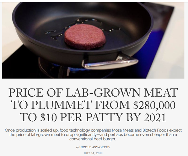 lab grown meat.PNG