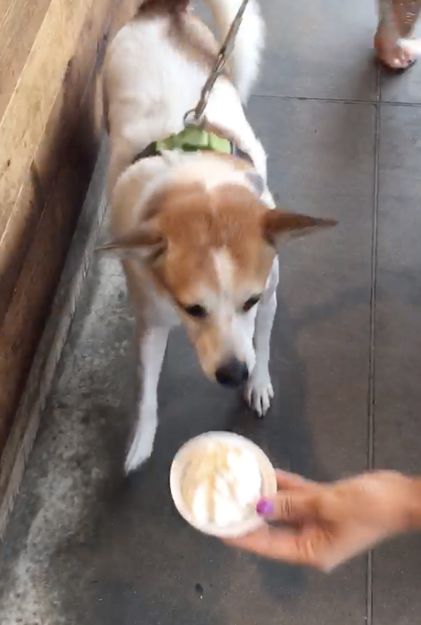 Screen Shot 2019-08-20 at 6.54.50 AM.png