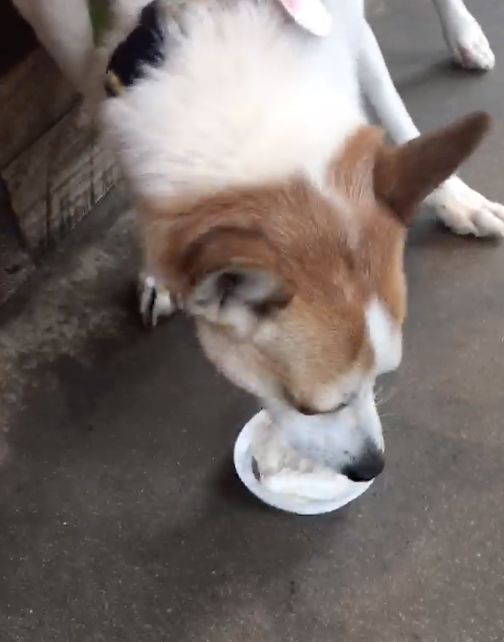 Screen Shot 2019-08-20 at 6.52.48 AM.png