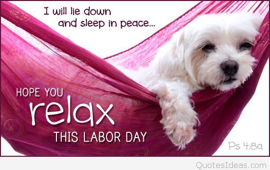 Charming-dog-sleep-in-peace-on-labor-day.jpg