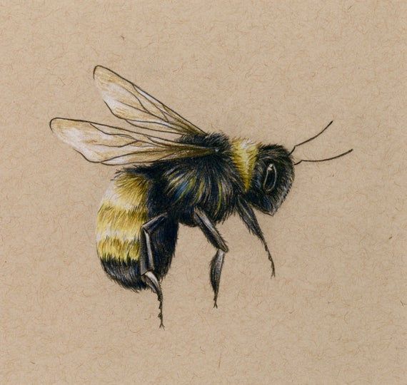 bee