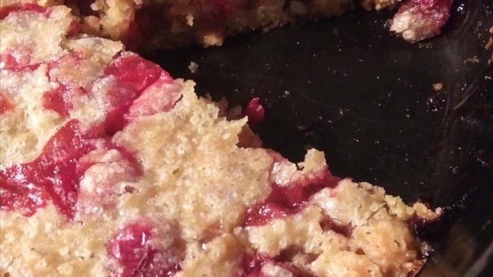 Crustless Cranberry Pie.jpg