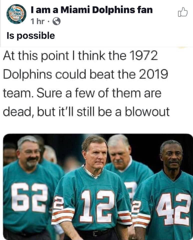 miami dolphins.jpg