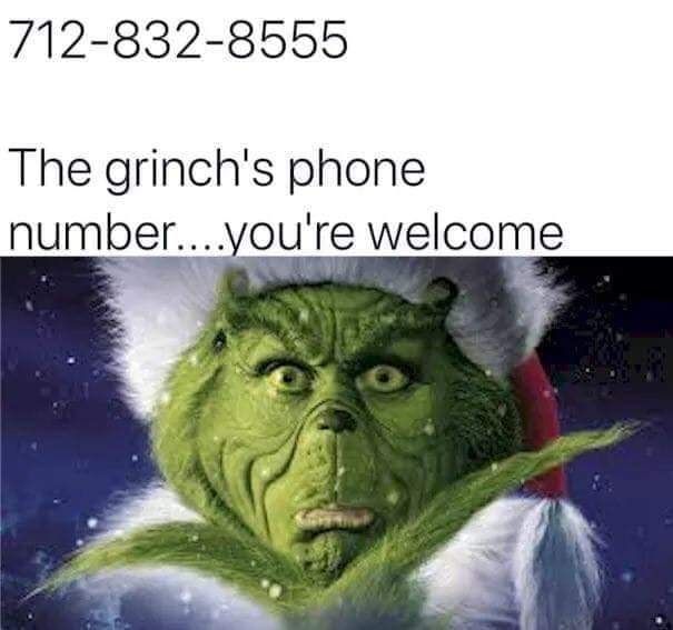 grinch phone.jpg