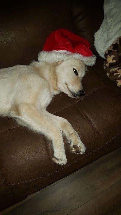 Meadow Santa hat.jpg