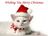 Christmas-Cat-Pictures.jpg