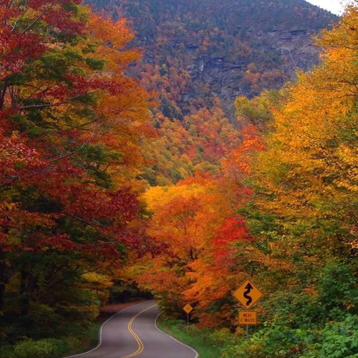 fall-foliage-notch.jpg