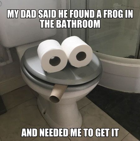 frog-toilet-paper-meme.jpg