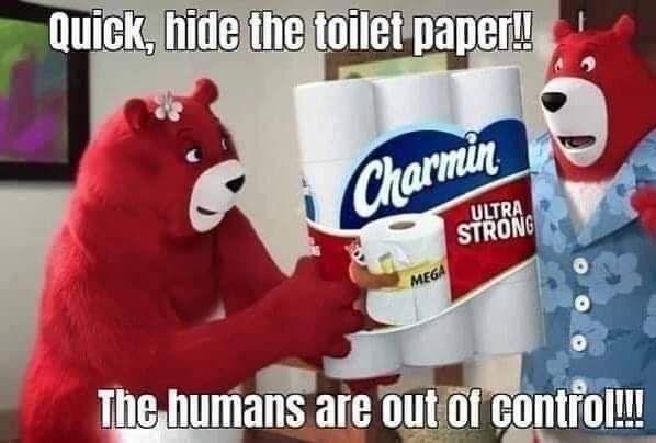 tp 1!cid__IMG_4336.jpg