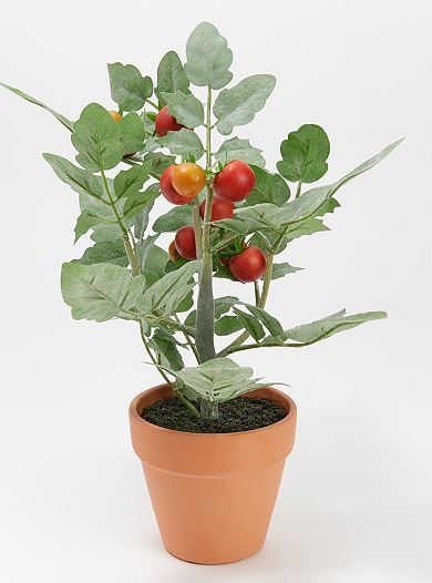 tomato plant faux.JPG