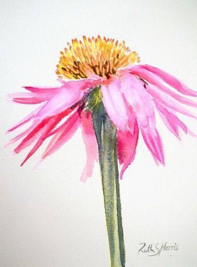 Pink Daisy.jpg