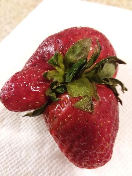 Strawberry grown together.jfif