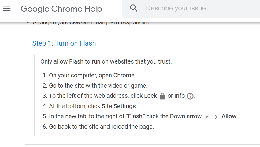 chrome flash.PNG