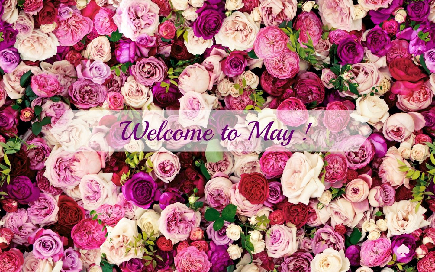 welcome may.jpg