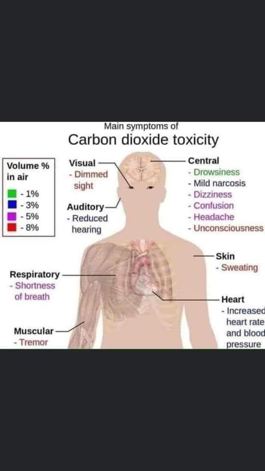 carbon dioxide toxicity.jpg