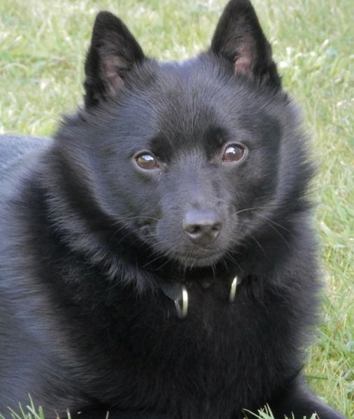 MyFirstBarkDay.jpg