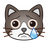 crying-cat-png.png