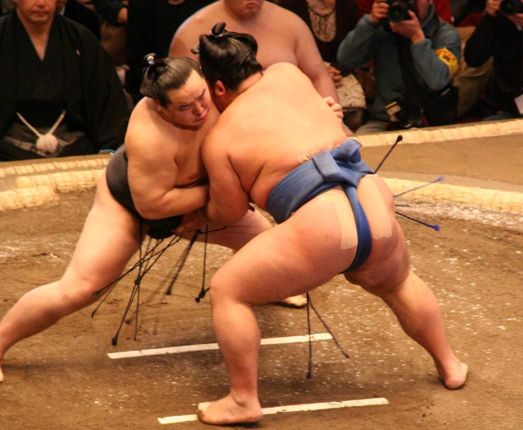 Asashoryu_fight_Jan08.JPG