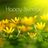 329169-Yellow-Happy-Sunday-Flowers.jpg
