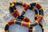 Eastern-Coral-Snake.jpg